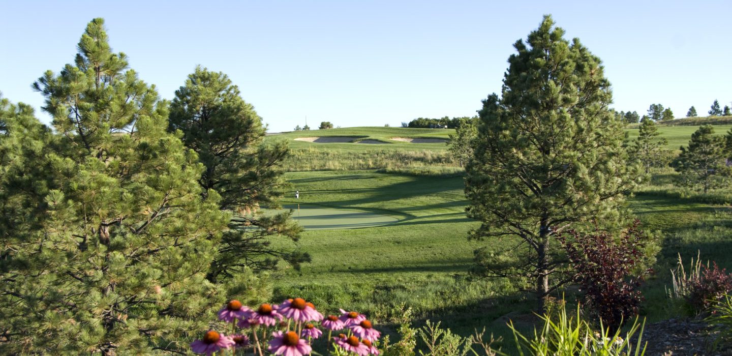 Garden flowers on golf course